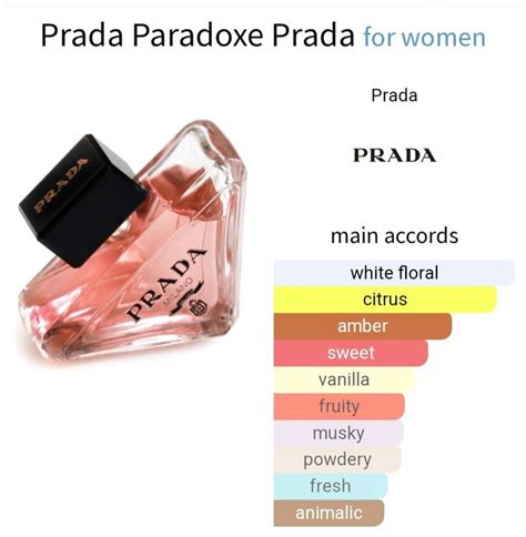 prada paradoxe notes